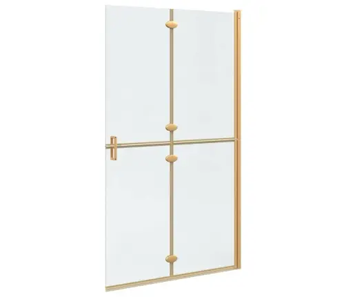 Käiguduši Sein Kuldne Ja Läbipaistev 110 X 190 Cm