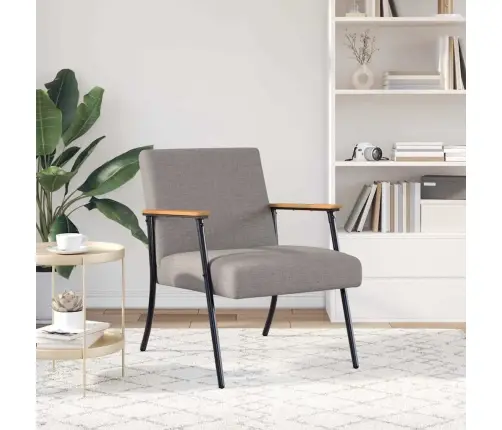 Atpūtas Krēsls Pelēkbrūna 59 X 75 X 78 Cm Audums Vidaxl