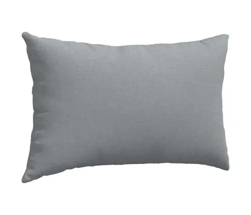 Diivanipadjad 2 Pcs Helehall 50 X 30 Cm Kangas