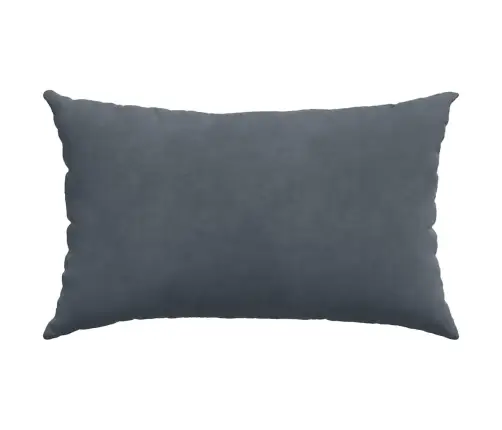 Sofa Pagalvės 2 Pcs Tamsiai Pilka 50 X 30 Cm Kordūrinis Audinys