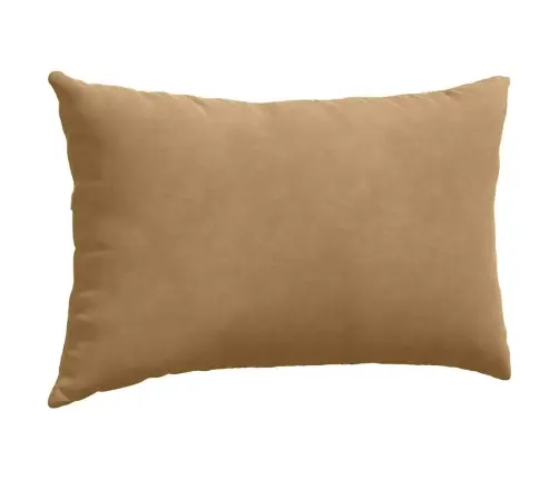 Dīvāna Spilveni 2 Pcs Brūna 50 X 30 Cm Korduroja Audums Vidaxl