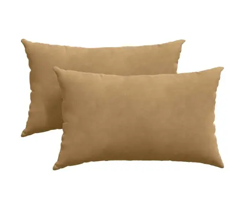 Dīvāna Spilveni 2 Pcs Brūna 50 X 30 Cm Korduroja Audums Vidaxl