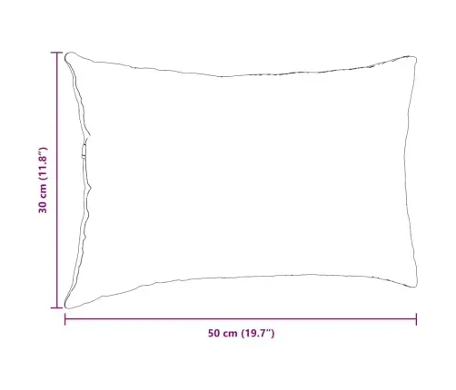 Dīvāna Spilveni 2 Pcs Brūna 50 X 30 Cm Korduroja Audums Vidaxl