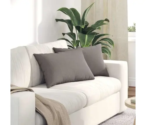 Dīvāna Spilveni 2 Pcs Pelēkbrūna 40 X 60 Cm Vidaxl