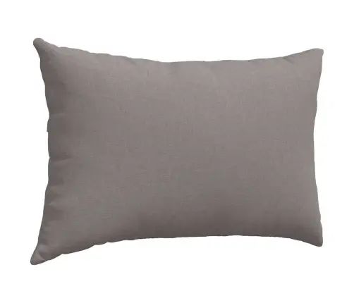 Dīvāna Spilveni 2 Pcs Pelēkbrūna 40 X 60 Cm Vidaxl