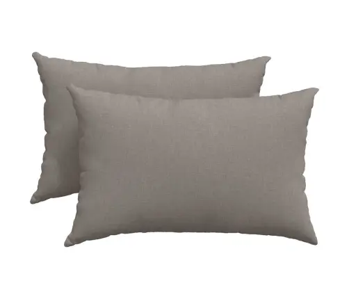 Dīvāna Spilveni 2 Pcs Pelēkbrūna 40 X 60 Cm Vidaxl