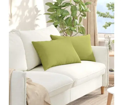 Sofa Pagalvės 2 Pcs Šviesiai Žalia 60 X 40 Cm Audinys