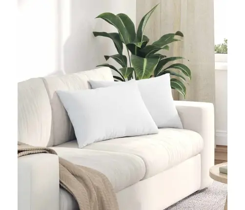 Diivanipadjad 2 Pcs Valge 60 X 40 Cm Kangas