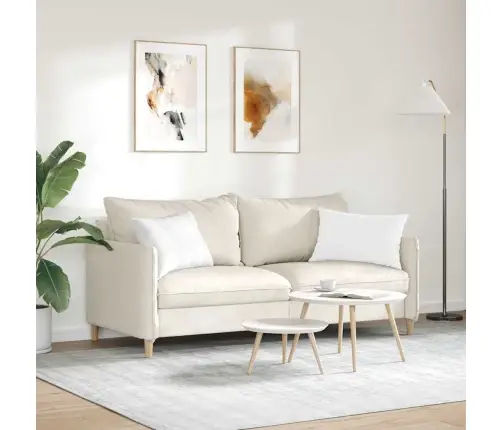 Diivanipadjad 2 Pcs Valge 60 X 40 Cm Kangas