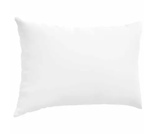 Diivanipadjad 2 Pcs Valge 60 X 40 Cm Kangas