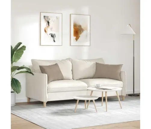 Sofa Pagalvės 2 Pcs Taupe 60 X 40 Cm Audinys