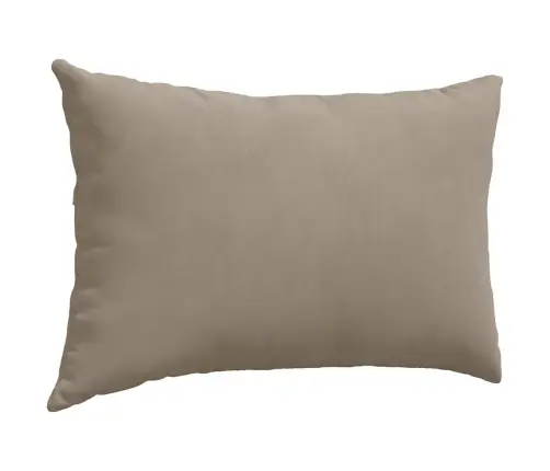 Sofa Pagalvės 2 Pcs Taupe 60 X 40 Cm Audinys