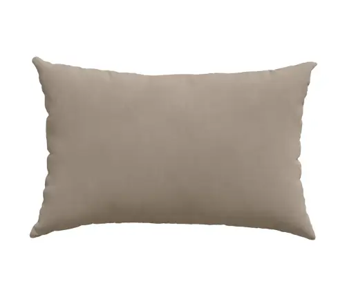 Sofa Pagalvės 2 Pcs Taupe 60 X 40 Cm Audinys