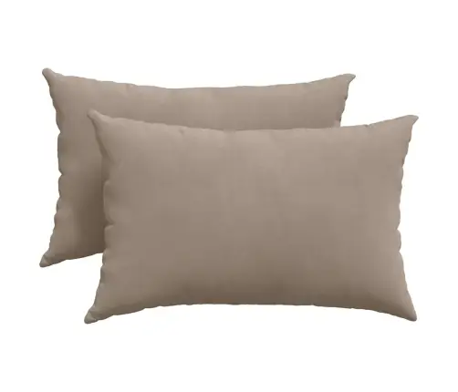 Sofa Pagalvės 2 Pcs Taupe 60 X 40 Cm Audinys