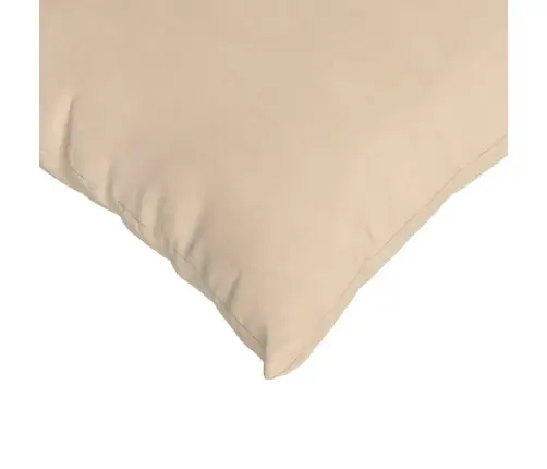 Diivanipadjad 2 Pcs Cream 60 X 40 Cm Kangas