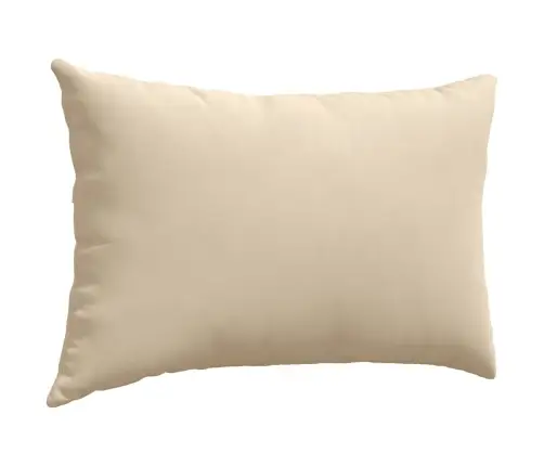 Diivanipadjad 2 Pcs Cream 60 X 40 Cm Kangas