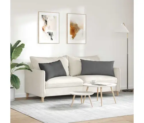 Dīvāna Spilveni Tumši Pelēka Audums Vidaxl