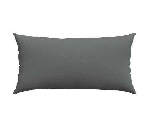 Dīvāna Spilveni Tumši Pelēka Audums Vidaxl