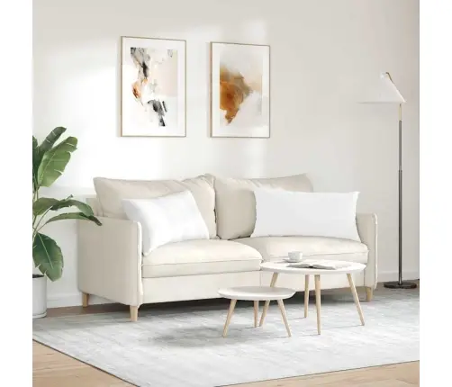 Diivanipadjad 2 Pcs Valge 80 X 40 Cm Kangas