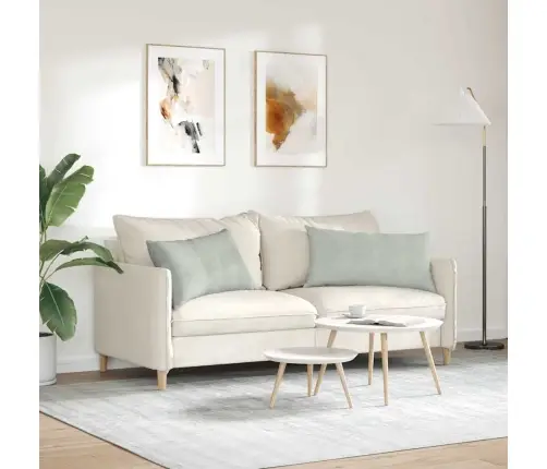 Sofa Pagalvės 2 Pcs Šviesiai Pilka 80 X 40 Cm