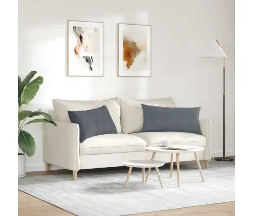 Dīvāna Spilveni 2 Pcs Tumši Pelēks 80 X 40 Cm Korduroja Audums Vidaxl