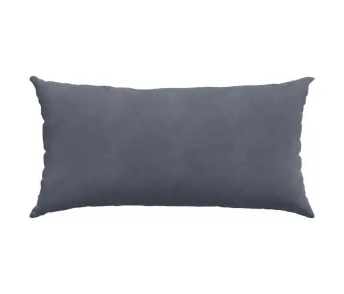 Dīvāna Spilveni 2 Pcs Tumši Pelēks 80 X 40 Cm Korduroja Audums Vidaxl