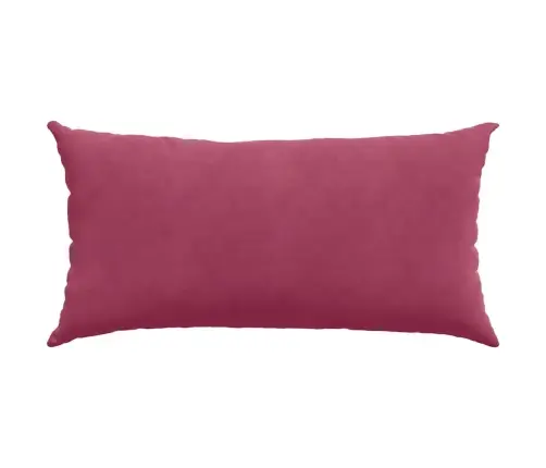 Diivanipadjad 2 Pcs Veinpunane 80 X 40 Cm Korter Kangas