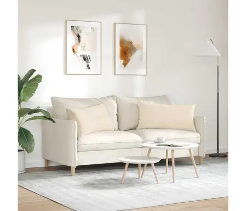 Diivanipadjad 2 Pcs Beež 80 X 40 Cm Kangas