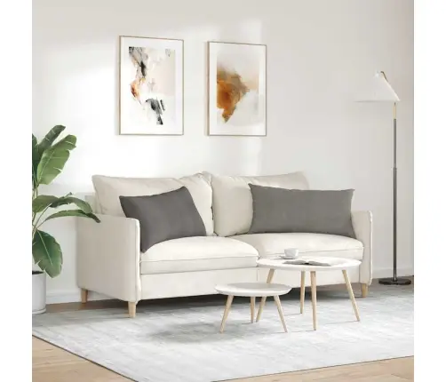 Dīvāna Spilveni 2 Pcs Gaiši Pelēks 80 X 40 Cm Korduroja Audums Vidaxl