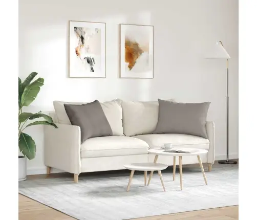 Diivanipadjad 2 Pcs Pruunikashall 70 X 50 Cm Kangas