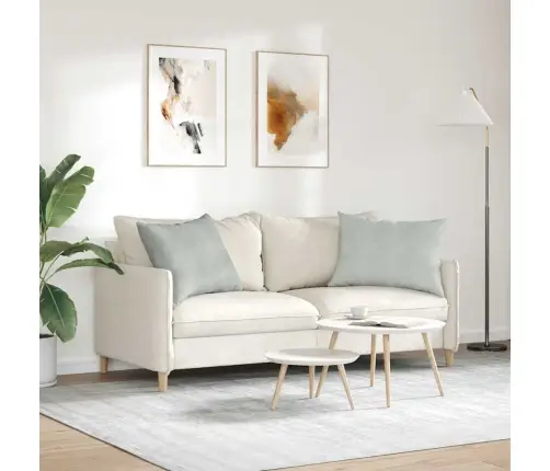 Dīvāna Spilveni 2 Pcs Gaiši Pelēks 70 X 50 Cm Korduroja Audums Vidaxl