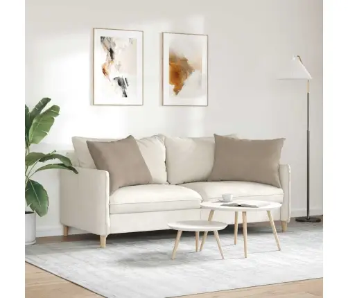 Sofa Pagalvės 2 Pcs Taupe 70 X 50 Cm Audinys