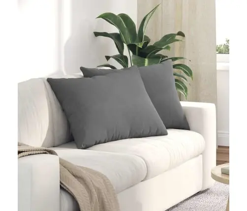 Diivanipadjad 2 Pcs Tumehall 70 X 50 Cm Kangas