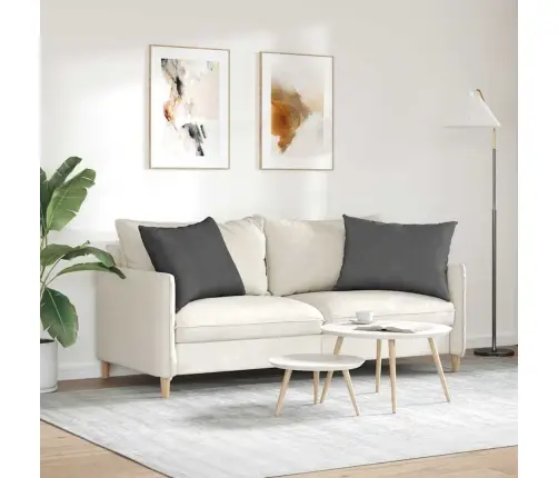 Diivanipadjad 2 Pcs Tumehall 70 X 50 Cm Korter Kangas