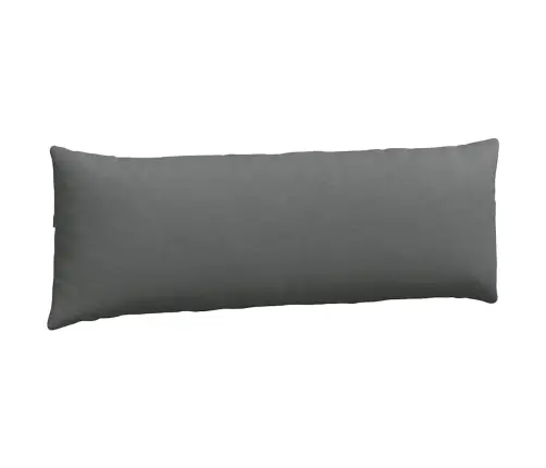 Diivanipadjad 2 Pcs Tumehall 120 X 40 Cm Kangas