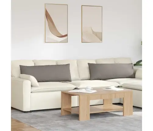 Diivanipadjad 2 Pcs Pruunikashall 120 X 40 Cm Kangas