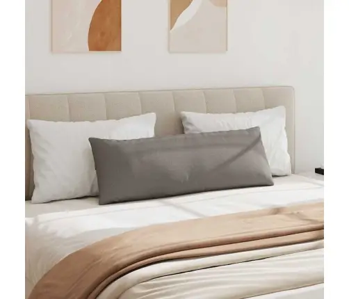 Diivanipadjad 2 Pcs Pruunikashall 120 X 40 Cm Kangas