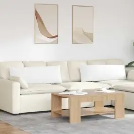 Sofa Pagalvės 2 Pcs Balta 120 X 40 Cm Audinys
