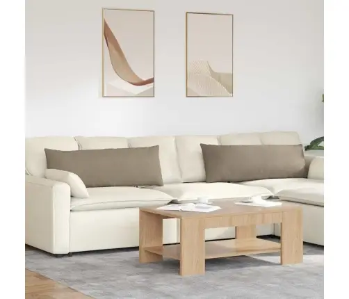 Dīvāna Spilveni Pelēkbrūna Audums Vidaxl