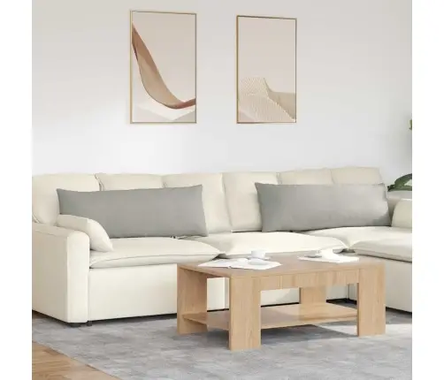 Diivanipadjad 2 Pcs Helehall 120 X 40 Cm Kangas