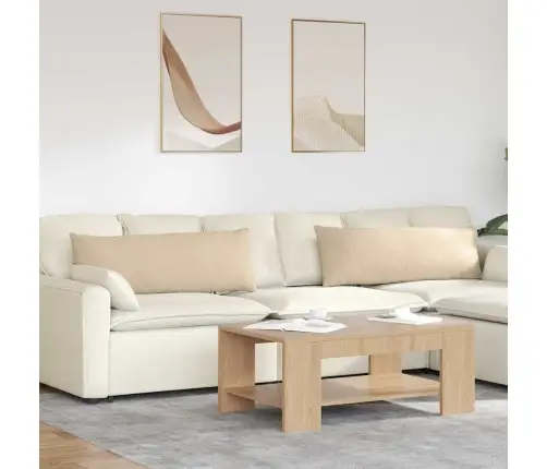 Diivanipadjad 2 Pcs Cream 120 X 40 Cm Kangas