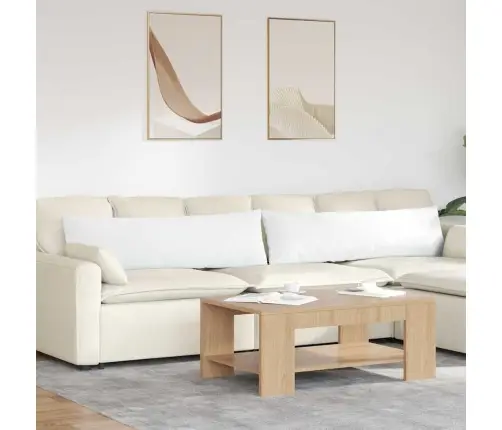 Diivanipadjad 2 Pcs Valge 145 X 40 Cm Kangas