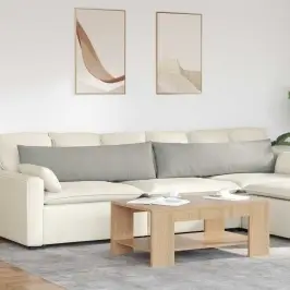 Sofa Pagalvės 2 Pcs Šviesiai Pilka 145 X 40 Cm Audinys