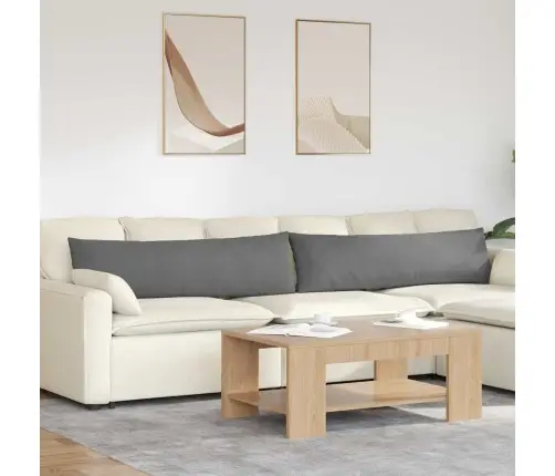 Diivanipadjad 2 Pcs Tumehall 145 X 40 Cm Kangas