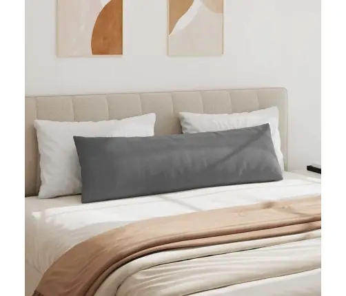 Diivanipadjad 2 Pcs Tumehall 145 X 40 Cm Kangas