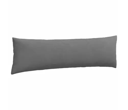 Diivanipadjad 2 Pcs Tumehall 145 X 40 Cm Kangas