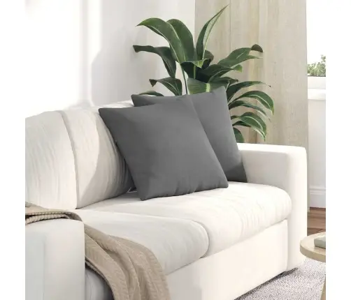 Sofa Pagalvės 2 Pcs Tamsiai Pilka 45 X 45 Cm Audinys