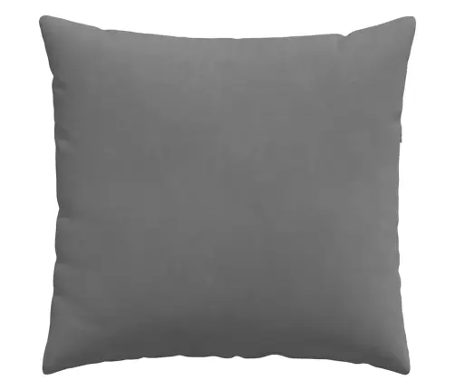 Sofa Pagalvės 2 Pcs Tamsiai Pilka 45 X 45 Cm Audinys