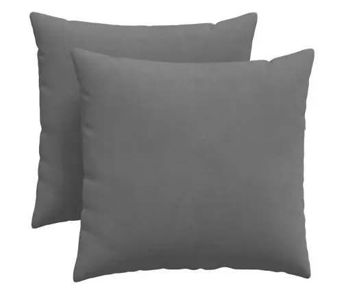 Sofa Pagalvės 2 Pcs Tamsiai Pilka 45 X 45 Cm Audinys