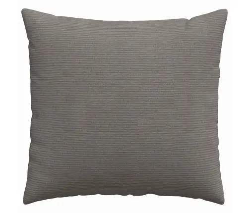 Sofa Pagalvės 2 Pcs Šviesiai Pilka 45 X 45 Cm